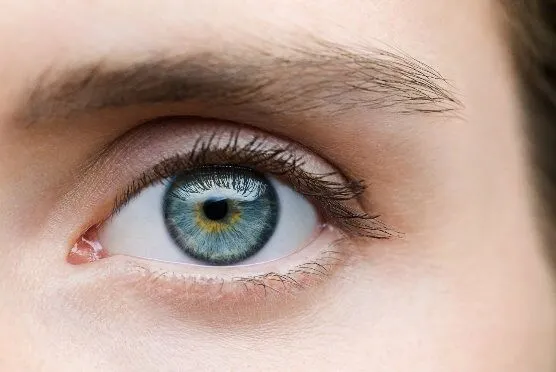 Corneal Transplant – A Detailed Guide